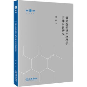 新业态知识产权保护法律问题研究【正版新书】