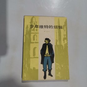 少年维特的烦恼