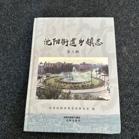 沈阳街道乡镇志 第六辑