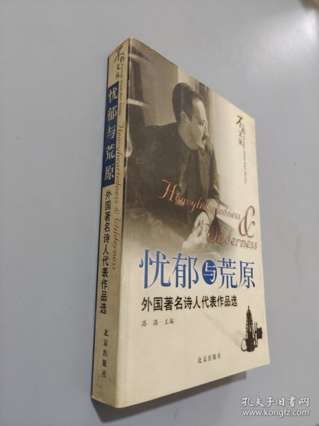 忧郁与荒原：外国著名诗人代表作品选