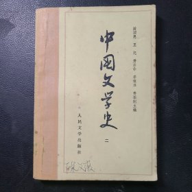中国文学史（二）