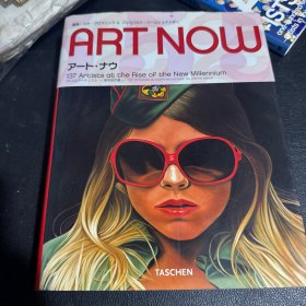 Art Now: Artists at the Rise of the New Millennium 当代艺术 画册 Taschen二十五周年特别版