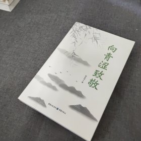 诗集：向青涩致敬