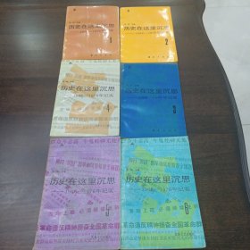 历史在这里沉思 全6册