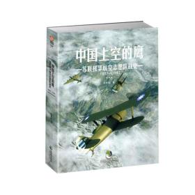 中国上空的鹰 : 苏联援华航空志愿队战史 : 1937—1941