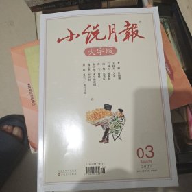 小说月报2025年3月大字版