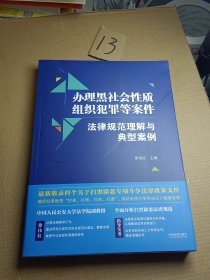 办理黑社会性质组织犯罪等案件法律规范理解与典型案例