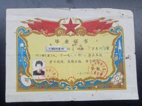 《毕业证书》1984年