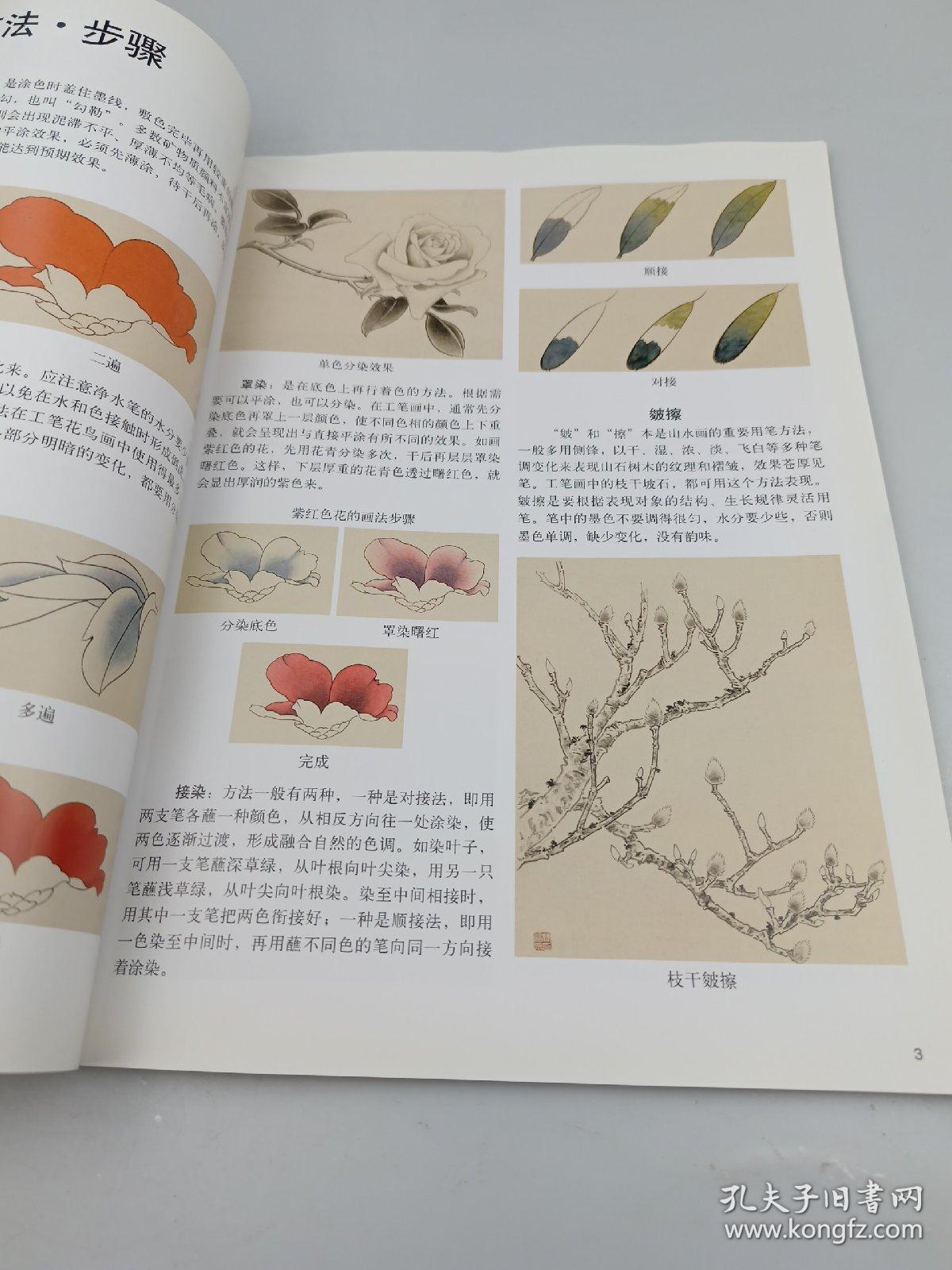 工笔花鸟画技法