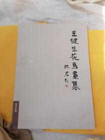 八：王建生花鸟画集，大16开。89页，本网首现