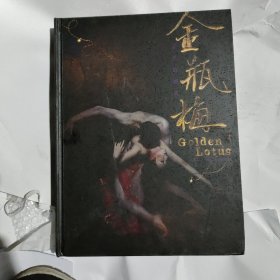 金瓶梅 北京当代芭蕾舞团舞台艺术画册