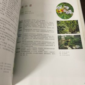 水体植物景观——现代园林植物景观丛书