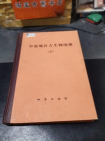 中南地区古生物图册 二 三（晚古生代部分；中新生代部分）（2册合售）