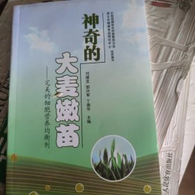 神奇的大麦嫩苗:完美的细胞营养均衡剂