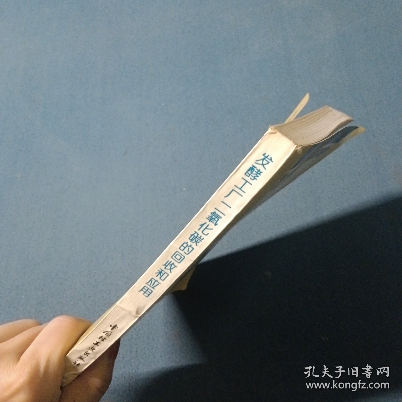 发酵工厂二氧化碳的回收和应用