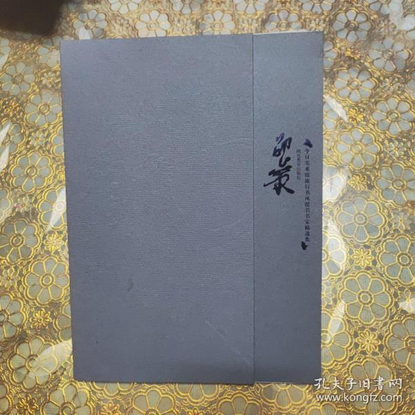 今日美术馆流行书风提名书家精选集 邵岩
