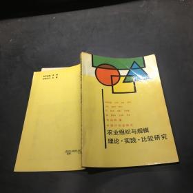 农业组织与规模:理论·实践·比较研究