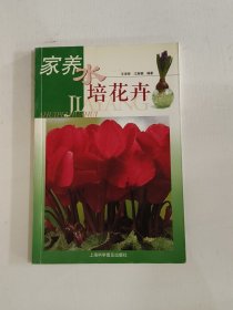 家养水培花卉