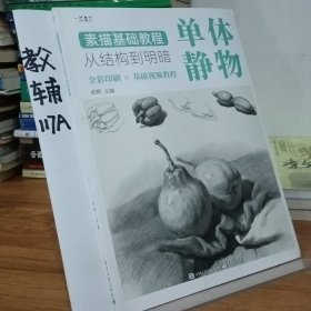 素描基础教程：从结构到明暗（全4册）