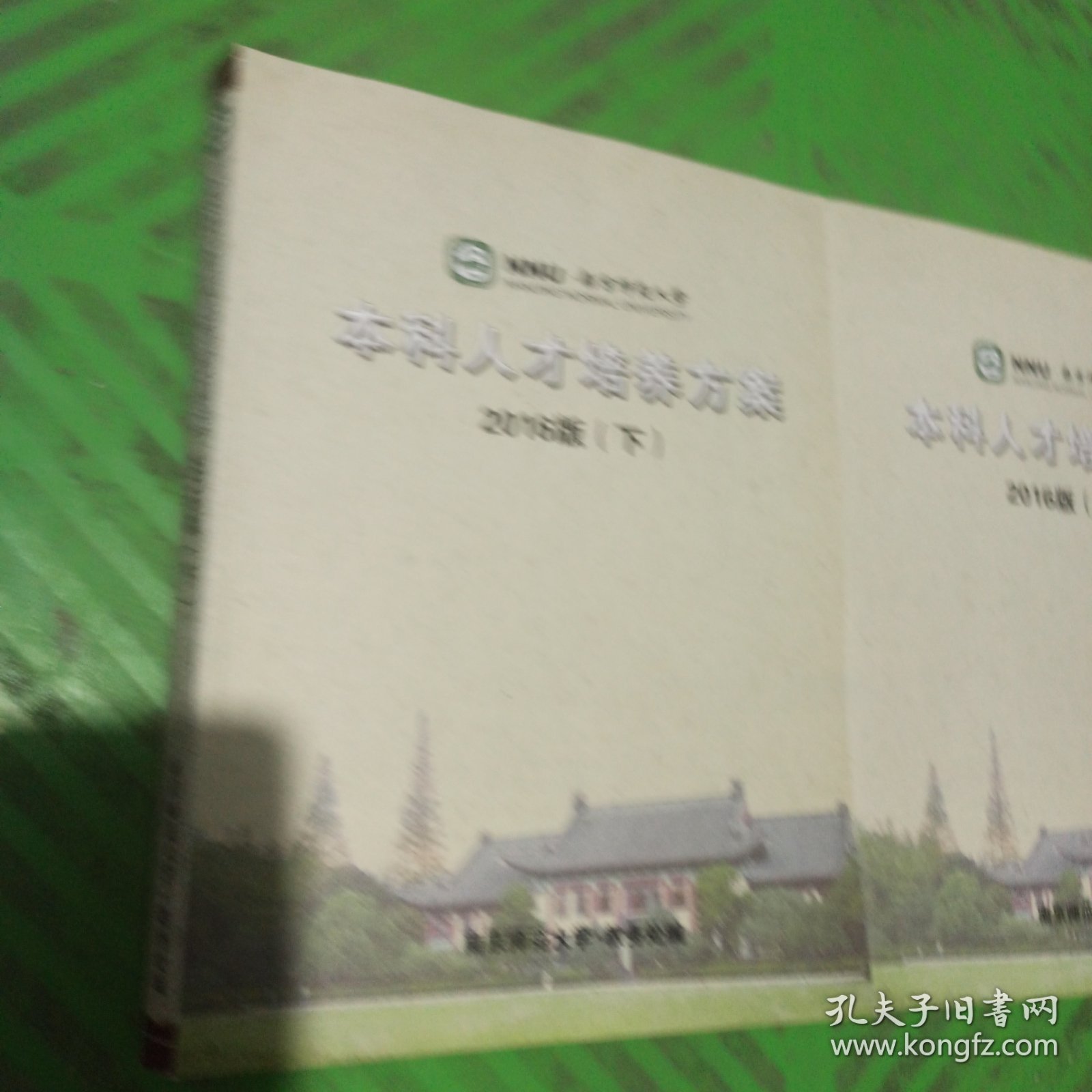 南京师范大学本科人才培养方案（上下）2016版/2本合售