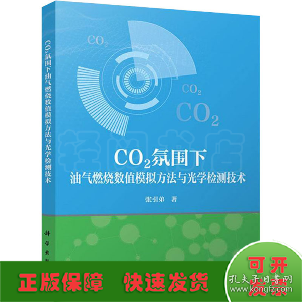 CO2氛围下油气燃烧数值模拟方法与光学检测技术