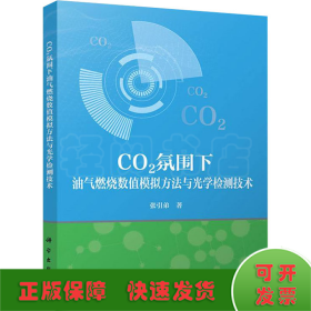 CO2氛围下油气燃烧数值模拟方法与光学检测技术