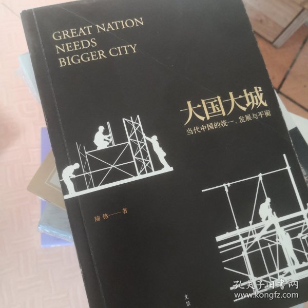 大国大城：当代中国的统一、发展与平衡