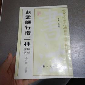 书法字海解析丛帖（第1集）：赵孟頫行楷二种解析字帖