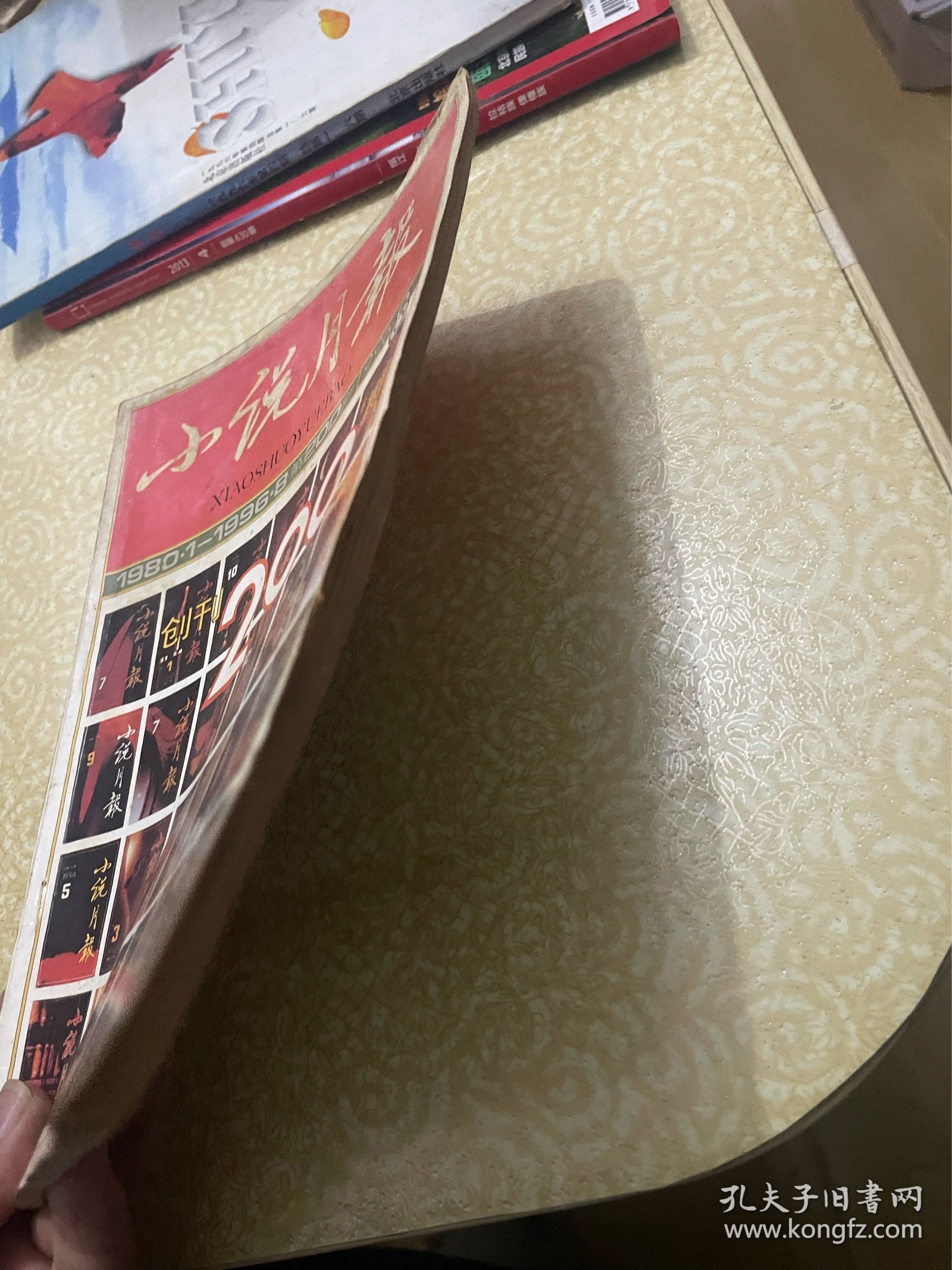 小说月报 1996年第8期