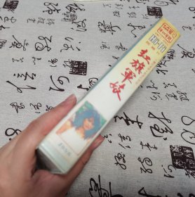 【录像带】红旗军妓