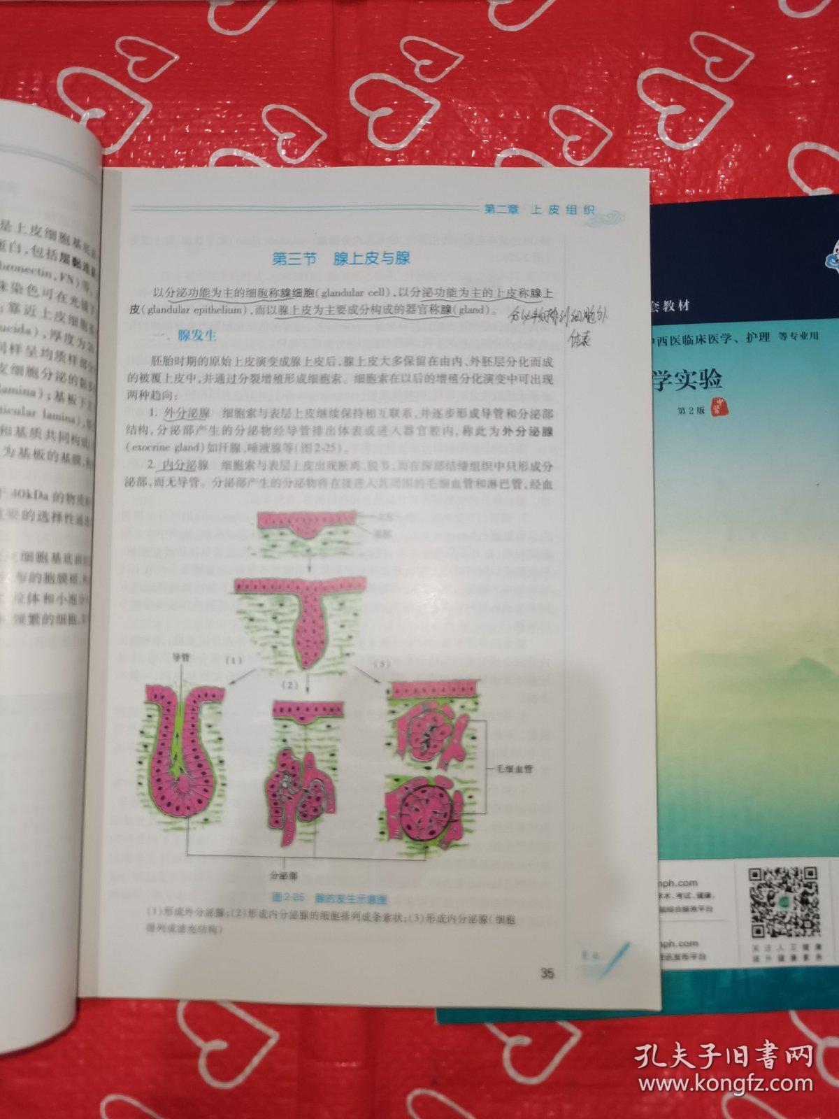 组织学与胚胎学(第3版/本科中医药类/配增值)