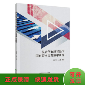 混合所有制背景下国有资本运营效率研究