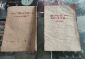 中国共产党第八届八中全会资料绘编 会议文件（两本合售）
