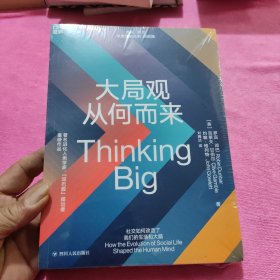 大局观从何而来