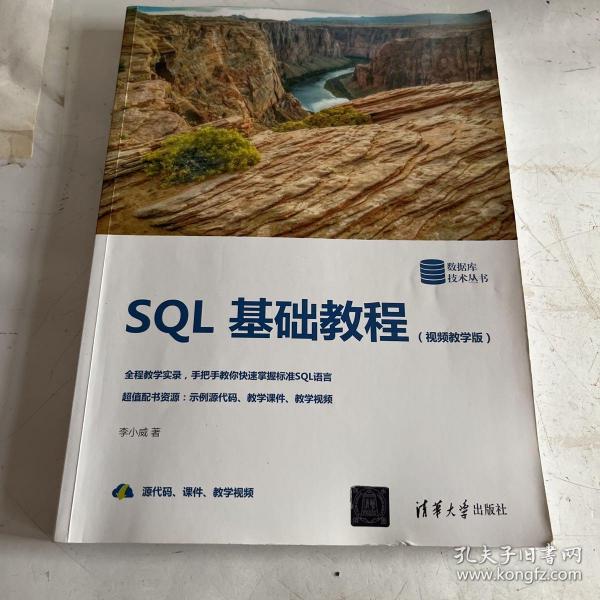 SQL基础教程（视频教学版）（数据库技术丛书）