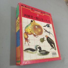 世界動(dòng)物圖鑒 2 兩棲類 爬行類 鳥類 一二