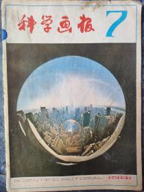 科学画报1981.07