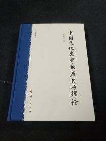 中国文化史学的历史与理论（文化史丛书）