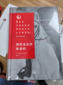 俄苏文学经典译著·钢铁是怎样炼成的