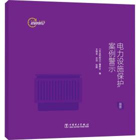 【正版新书】 电力设施保护案例警示 画册 《安全时时记》编委会 中国电力出版社