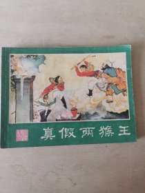 真假两猴王 湖南美术版西游记连环画之十四