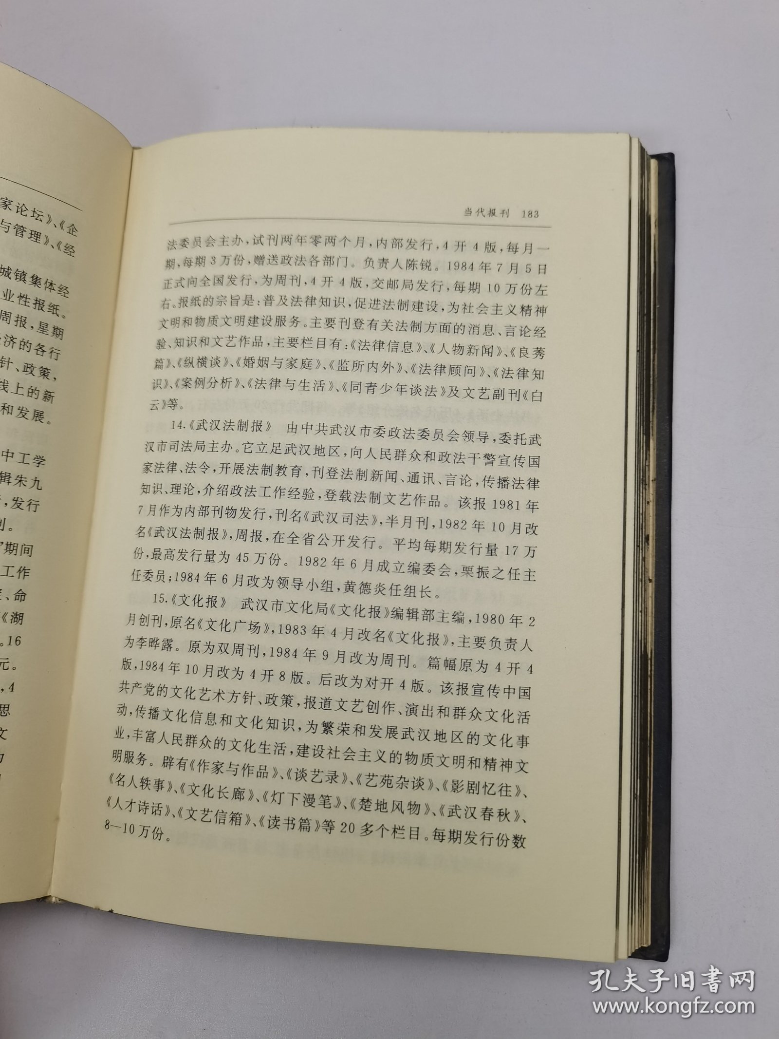 武汉市志·新闻志