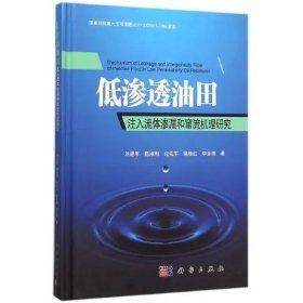 低渗透油田注入流体渗漏和窜流机理研究