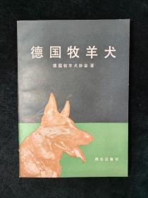 （品好）德国牧羊犬