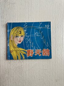 安徒生童话：野天鹅