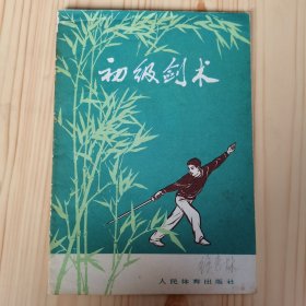 初级剑术
