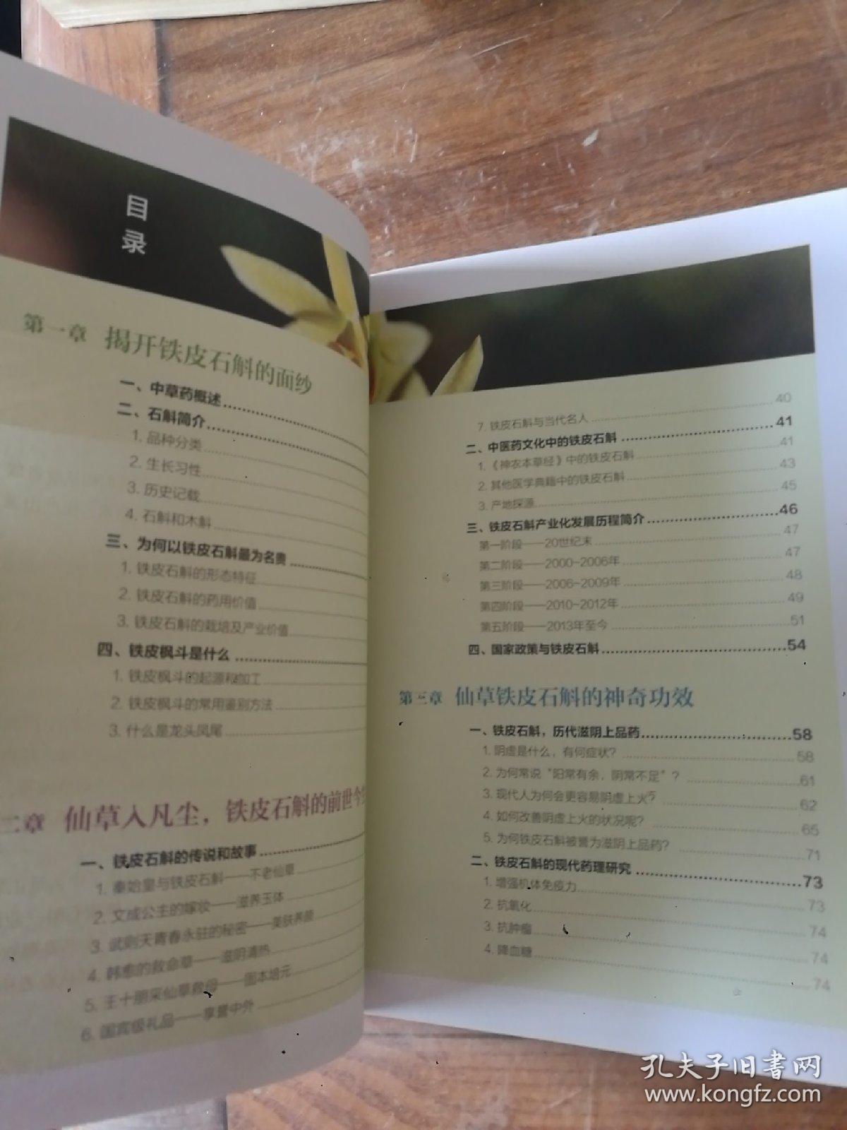 神奇的铁皮石斛