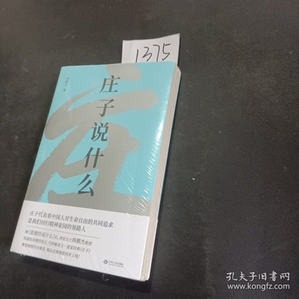 庄子说什么（继《道德经说什么》之后，韩鹏杰又一部道家经典解读著作，樊登作序倾情推荐）