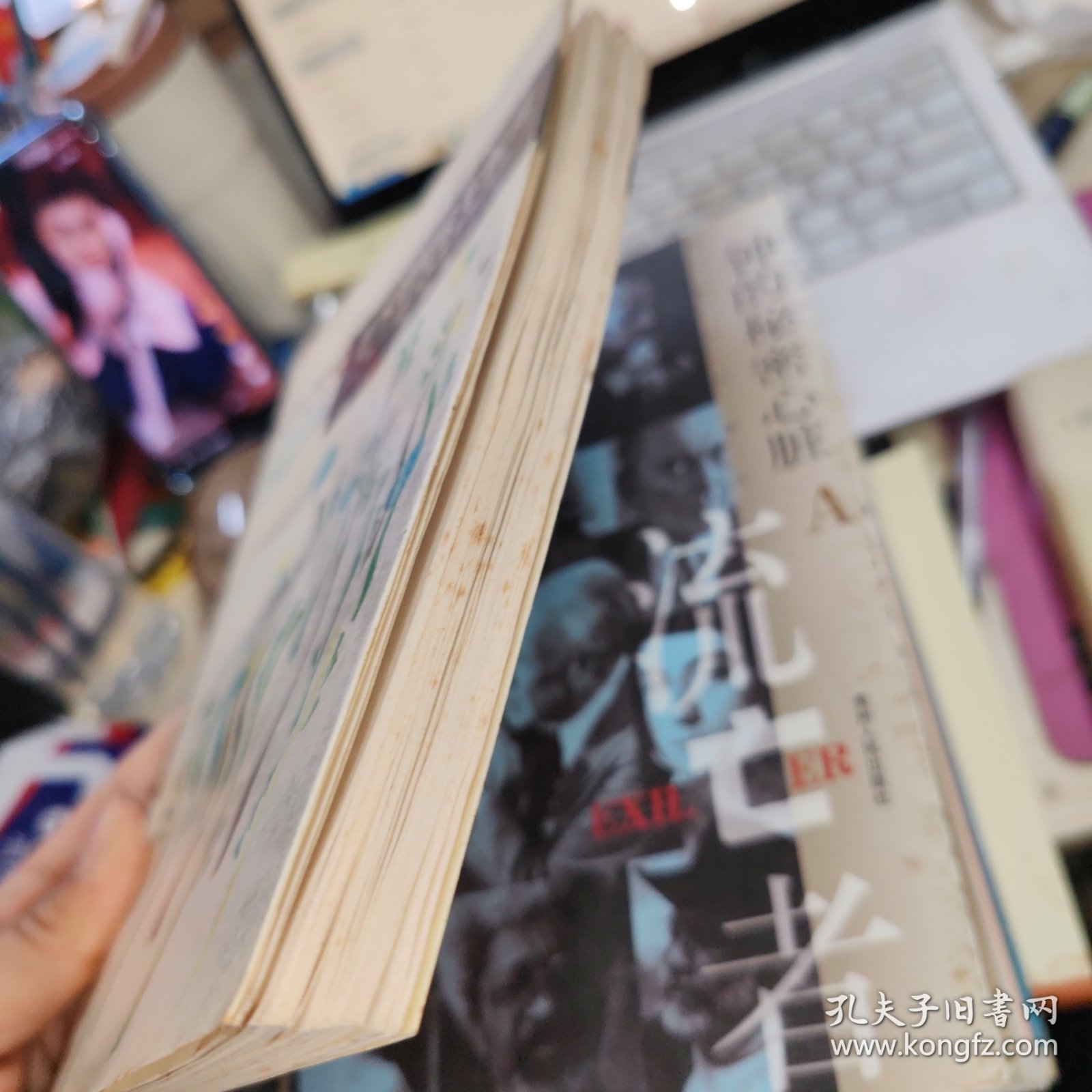 艺术的社会学解释 签赠本