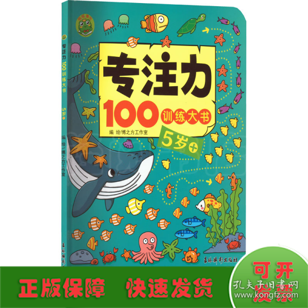 专注力100训练大书(5岁+)